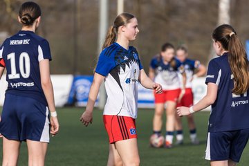 Bild 430 - wBJ Hamburger SV - Hertha BSC : Ergebnis: 2:1